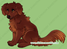 Pet