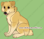 Pet