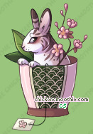 Pet
