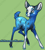 Pet