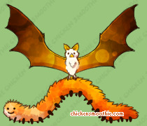 Pet