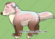 Pet