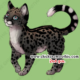 Pet