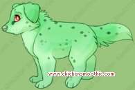 Pet