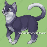 Pet