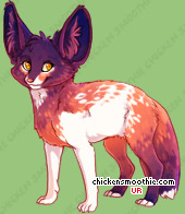 Pet