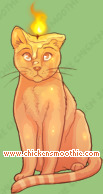 Pet