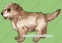 Pet