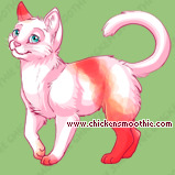Pet
