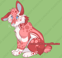 Pet