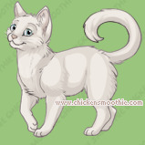 Pet