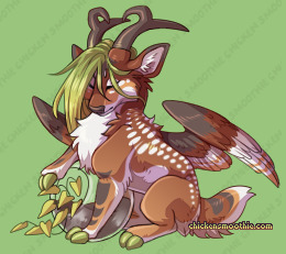 Pet