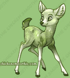 Pet