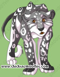 Pet