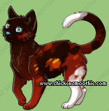 Pet
