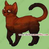 Pet