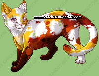 Pet