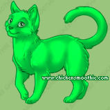 Pet