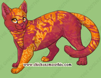 Pet