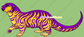 Pet
