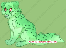 Pet