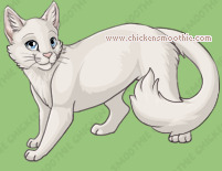 Pet