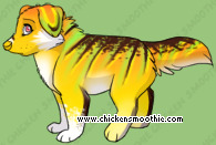 Pet