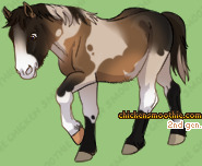 Pet