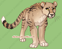 Pet