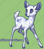 Pet