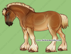 Pet