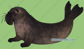 Pet