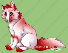 Pet