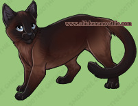 Pet