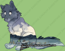 Pet