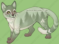 Pet