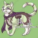 Pet