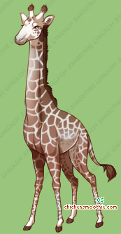 Pet