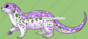 Pet