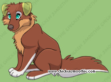 Pet