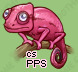 Pet