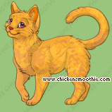 Pet