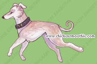 Pet