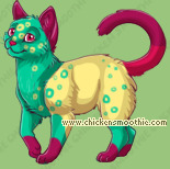 Pet