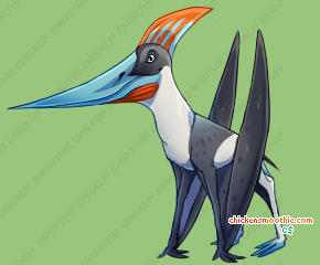 Pet