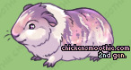 Pet