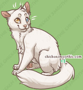Pet