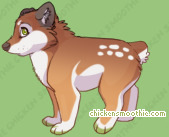 Pet