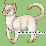 Pet