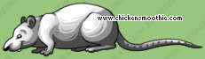 Pet
